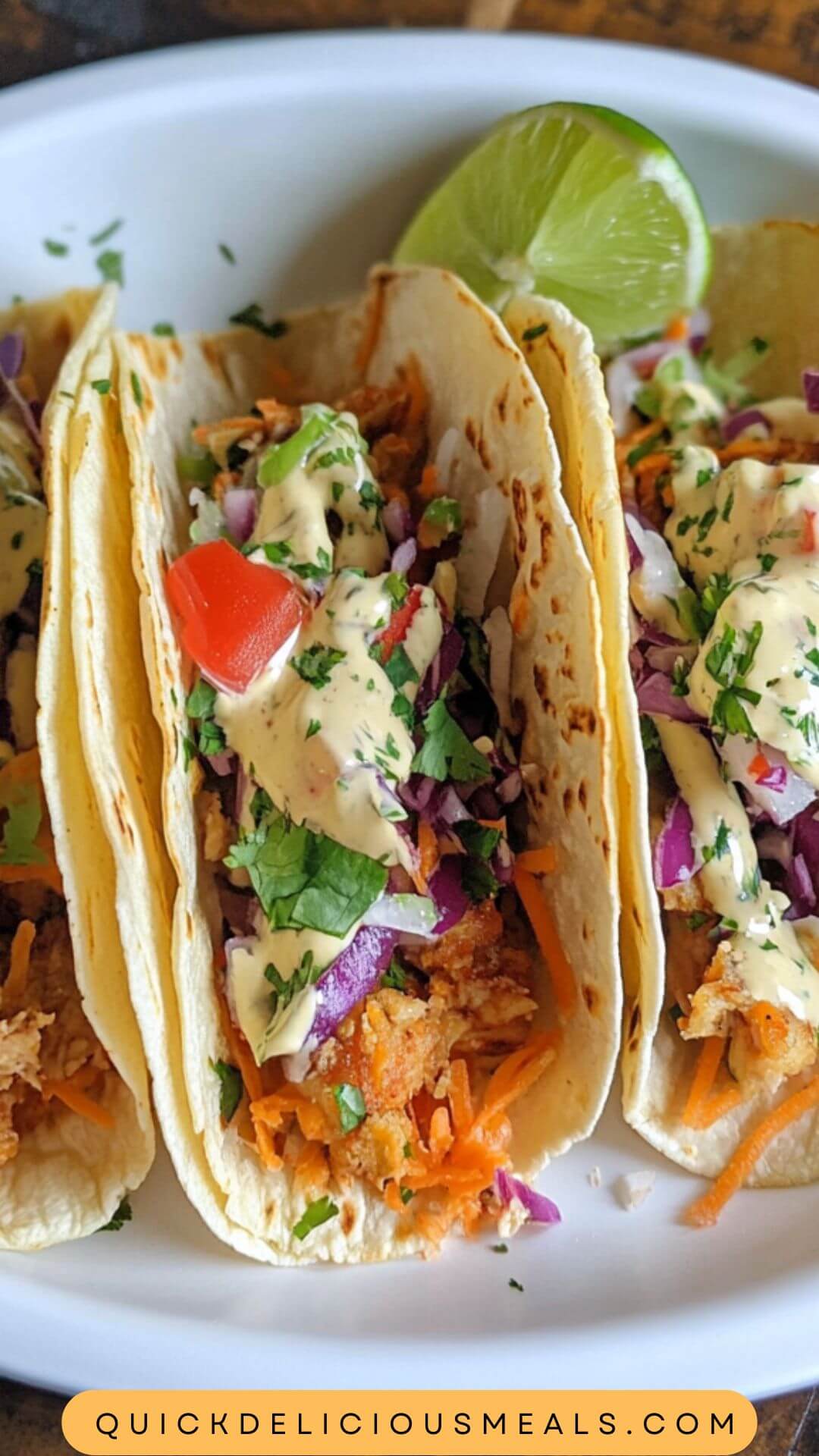 Best Costco Street Tacos Recipe