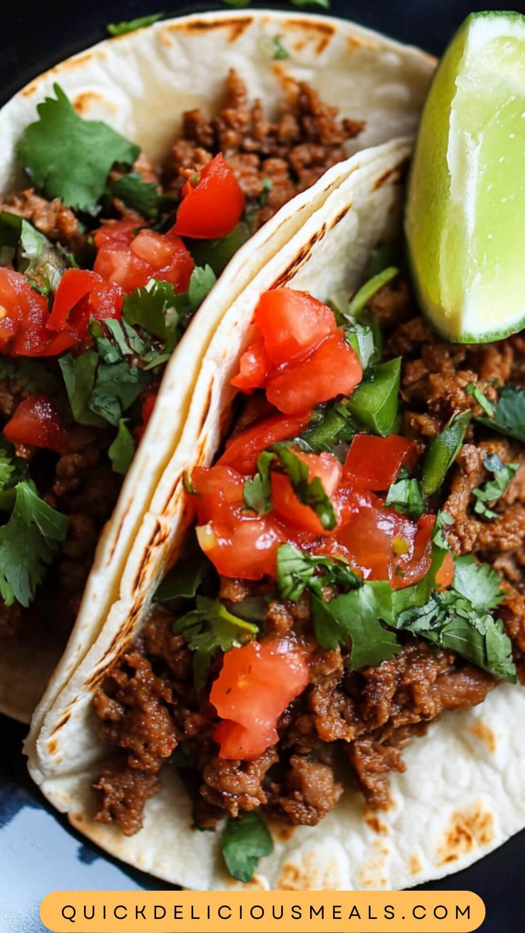 Best Deer Meat Taco Recipe