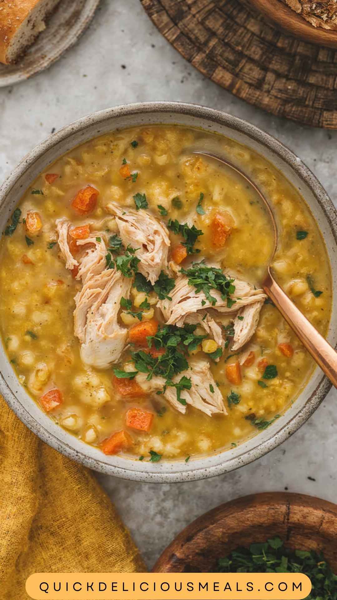 Chicken and Orzo Soup Copycat Recipe Chicken and Orzo Soup Copycat Recipe