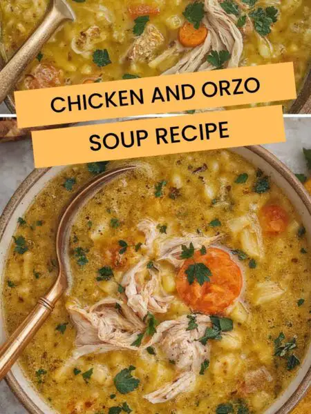 Chicken and Orzo Soup Recipe