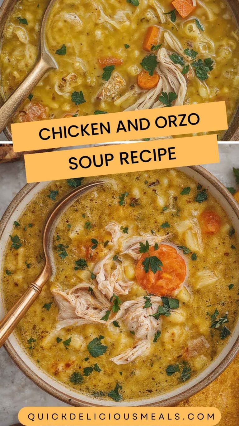 Chicken and Orzo Soup Recipe – Quick Delicious Meals