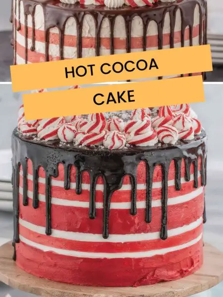 Hot Cocoa Cake