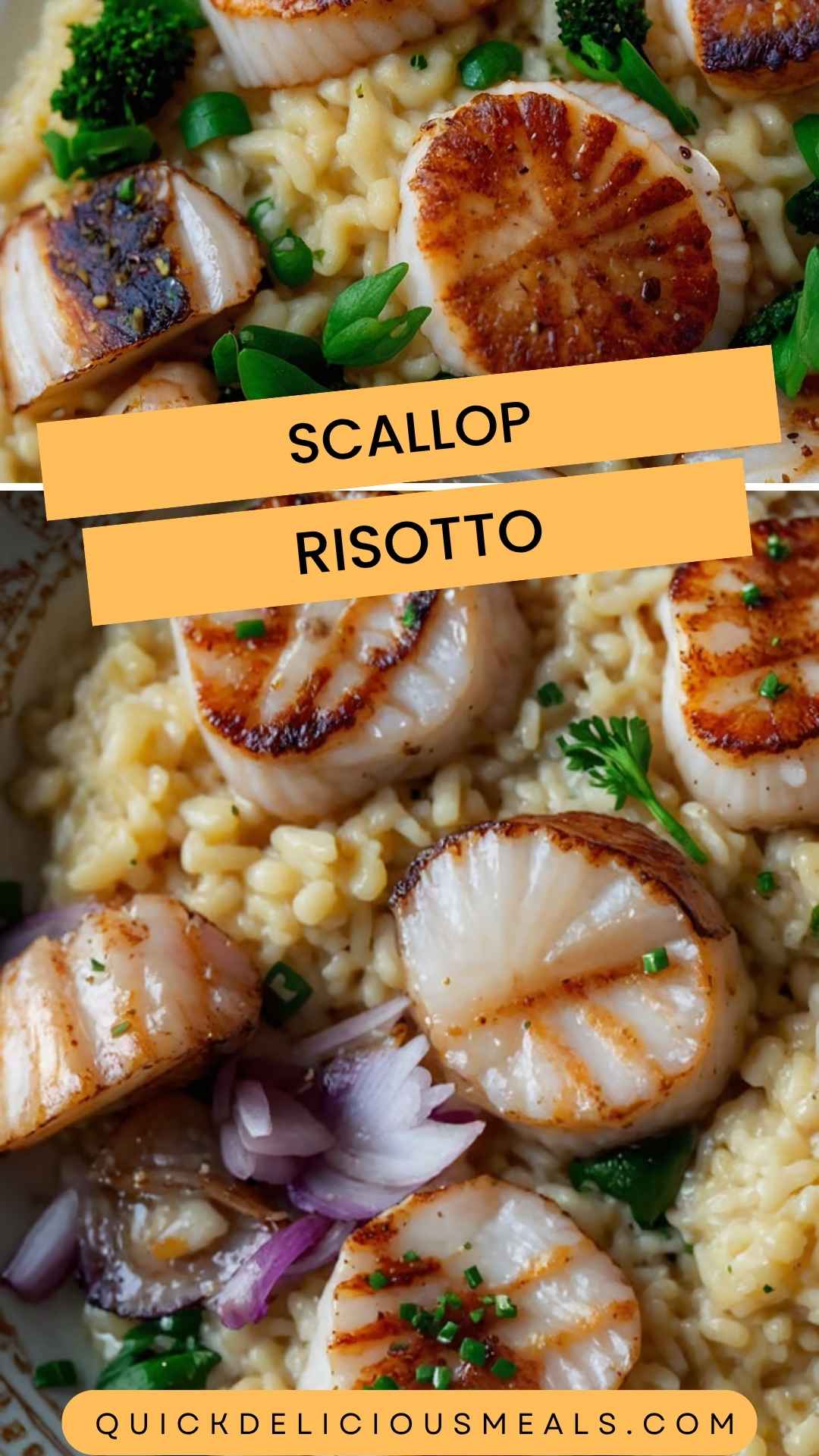 Scallop Risotto Scallop Risotto